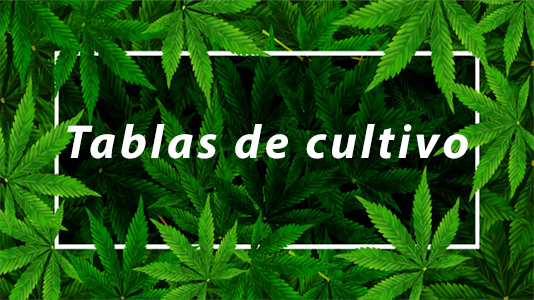 Tablas de Cultivo